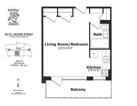 267 St. George Street Studio-2 Beds Apartment for Rent - Photo Gallery 13